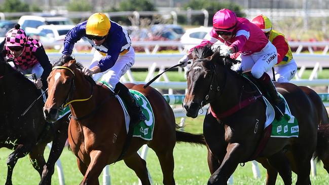 Release The Beans (yellow cap) is aiming for three wins in a row. Picture: Trackside Photography