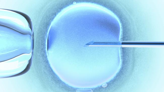 The legal issues surrounding frozen embryos were “absolutely a hot topic for law reform”, a family law expert said.