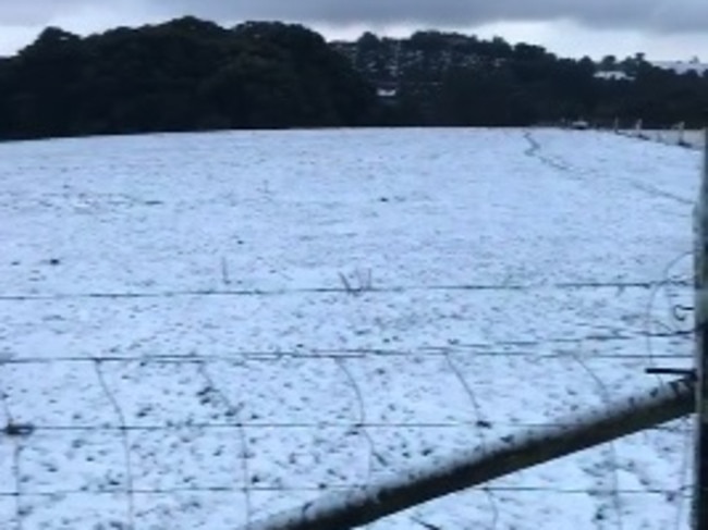 Snow in a paddock at Bullarto South near Daylesford. Picture: Rod Irons/Facebook