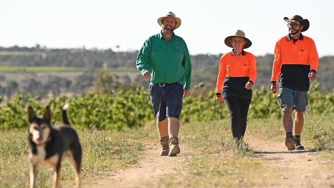 Farmers are calling out for workers for the summer harvesting season. Picture: Lyndon Mechielsen