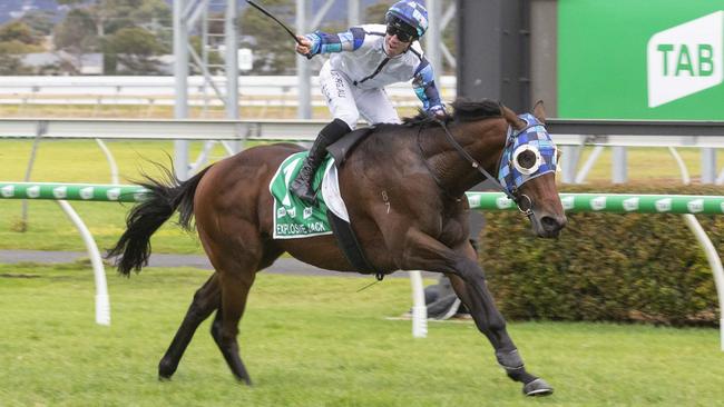 Explosive Jack has drawn the inside gate. Picture: Atkins Photography