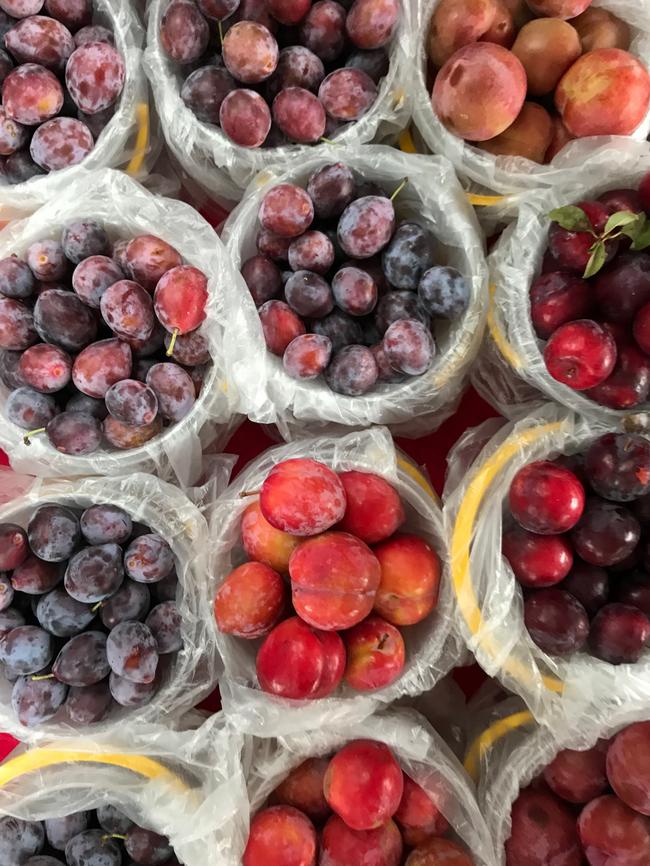 Plums sold at the Kings Cross Organic Food Markets. Picture: Jenifer Jagielski