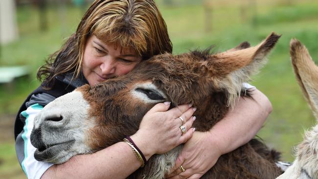 Wandin North's Haydi Kubrak with May, the mum of the baby donkey that was killed. Picture: Steve Tanner