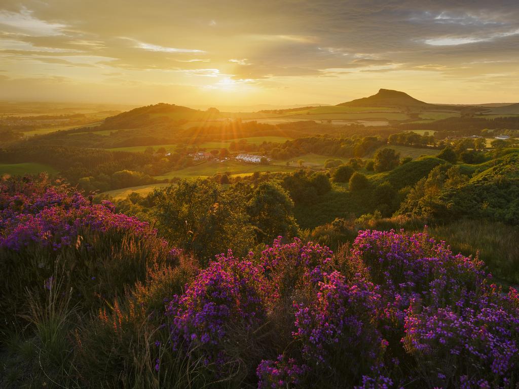 The Landscape Photographer of the Year. Heather in Bloom, North York Moors, England by John Robinson — ‘Countryside is GREAT’ Award Winner 2014 “The setting sun dropped below the cloud transforming this wonderful scene. I have visited this particular location a few times and feel the best time to visit is during the late summer months when the heather is in full bloom, providing beautiful colour and contrast against the summer greens of the surrounding fields and hills.’ Heather in Bloom, Roseberry Topping, North Yorkshire, England.” <a href="http://www.take-a-view.co.uk/" target="_blank">Find out more here. </a>