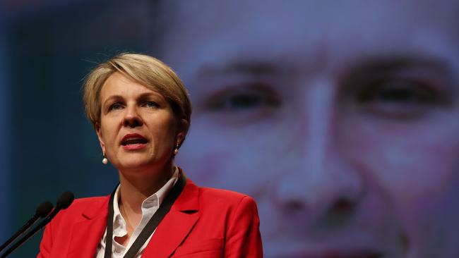 Kim Carr Accuses Labor Deputy Leader Tanya Plibersek Of Being Two Faced On Boat Turn Backs 9464