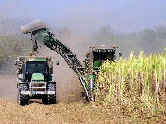 NEWS: Ingham: A cane harvester at work in the sugar cane fields just outside of Ingham. Pic. Hitchcock Ian MM337802 Picture: Supplied