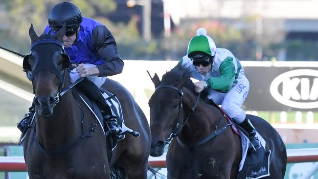 Shadow Hero showed his staying potential with a runaway win in the Gloaming Stakes. Picture: AAP