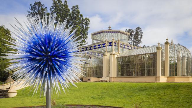 Dale Chihuly’s glass work Sapphire Star outside the Palm House at Adelaide Botanic Garden, © 2010 Chihuly Studio. Photograph by Nathaniel Willson