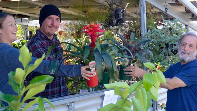 ALOE THERE: Lismore Garden Centre in a growth spurt with Cam and Emma remodelling their nursery to meet demand.