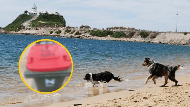 Wild message written on bin at Newcastle dog beach