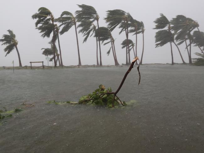28/3/17: a normally dry park behind the beach, and palm trees being bent by the continuing wind and rain as Bowen continues to feel the effects of driving rain and strong winds of tropical cyclone Debbie even hours after it has passed ,in Bowen, Nth QLD. Picture: Lyndon Mechielsen/The Australian