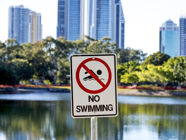 ### Gold Coast Bulletin only Please check with Picture Editor before use ###Gold Coast Council have bought in SeaWorld divers to go  hunting for a  stone fish which has been seen in Evandale Lake.  Picture: Jerad Williams