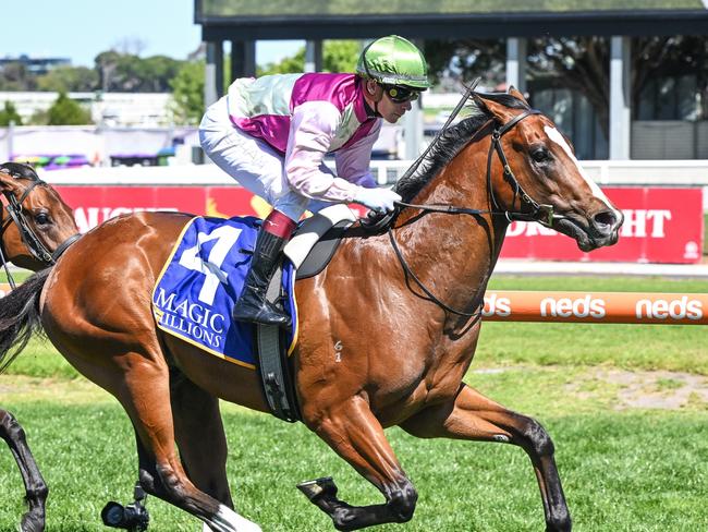 Coleman ridden by Ben Melham wins the Magic Millions Debutant Stakes at Caulfield Racecourse on October 18, 2023 in Caulfield, Australia. (Photo by Reg Ryan/Racing Photos via Getty Images)