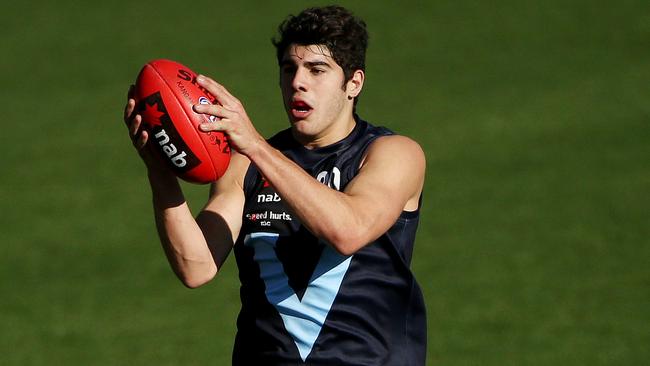 Christian Petracca is touted as the best midfield in the draft class. Picture: Colleen Petch