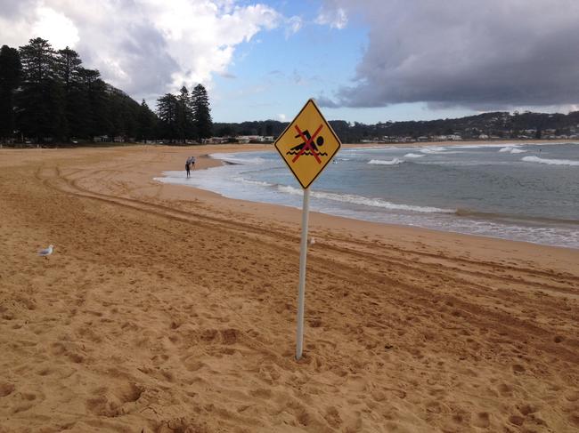 Avoca Beach shark attack. No swimming signs erected by lifeguards on Avoca Beach.