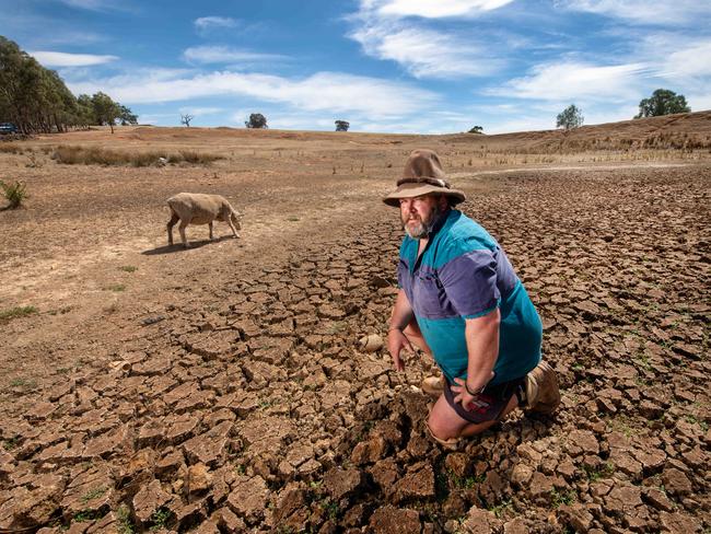 Farmers are trucking in water for their livestock amid the worst drought conditions seen in two decades. Picture: Rob Leeson