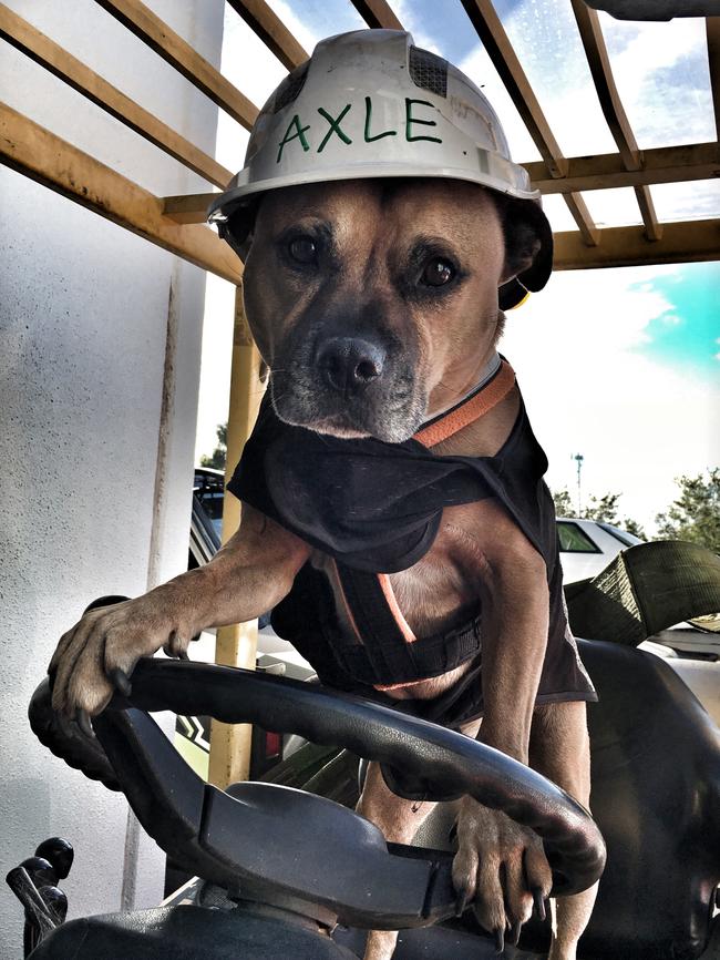 Axle has a growing social media following. Picture: Supplied