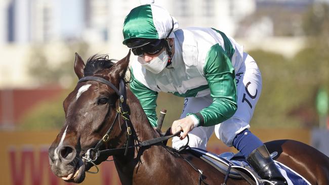 Promising three-year-old Silent Impact can beat his older rivals. Picture: Getty Images