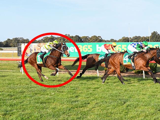 Dismount (circled) closed well behind Play On Words at Tatura last time out and provides plenty of value for punters in his Bendigo assignment on Wednesday. Picture: Racing Photos