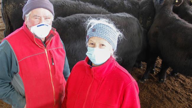 David and Naomi Welton from Ruffy sold these Angus steers for $1340 or 454c/kg at the Euroa store cattle sale Wednesday August 5 2020. Photo: Jenny Kelly