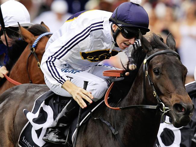 Expect Yankee Rose to make her presence felt this weekend. Picture: Jenny Evans