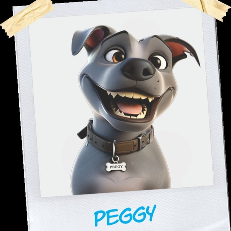 Peggy and Molly .The story of unlikely friendship between Queesnland’s Molly the Magpie and Peggy the Staffordshire terrier is being transformed into a “wholesome” and “heartwarmign” animated series. Picture: Instagram/, @peggyandmollyanimatedseries,