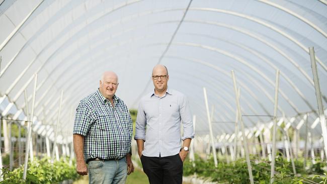 Andrew Bell (right) is managing director of Mountain Blue at Tabulam. The family-run blueberry operation was founded by his father Andrew (left). Picture: Elise Derwin