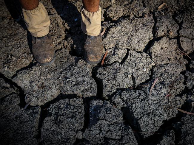 Image taken of a dried-up bed of the Namoi River in Walgett in 2019. Picture: David Gray