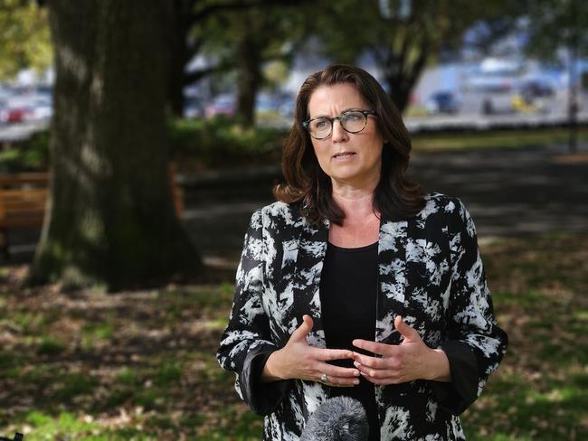 Independent MLC for Nelson Meg Webb speaks to the media on Parliament Lawns in Hobart.