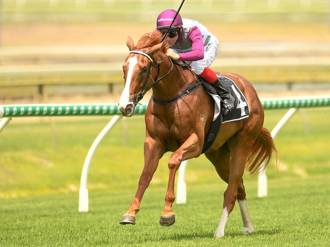 Jockey Dale Smith rides Dusty Tycoon to victory in race 1, the Doomben Plate, during The Metro Races at Doomben Racecourse in Brisbane, Saturday, November 30, 2019. (AAP Image/Albert Perez)