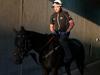 Punters denied wonderful Winx repeat