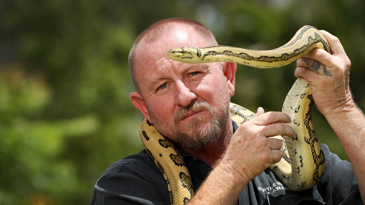 Snake bites are noticebly on the rise in QLD - local catchers urging those to leave it for the professionals