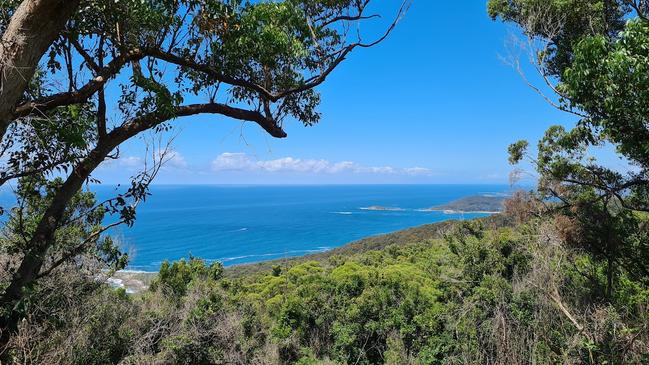 A view of North Durras, adjacent to Pebbly Beach. Picture: NCA Newswire / Nathan Schmidt