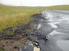 Secret survey exposes disastrous condition of our roads