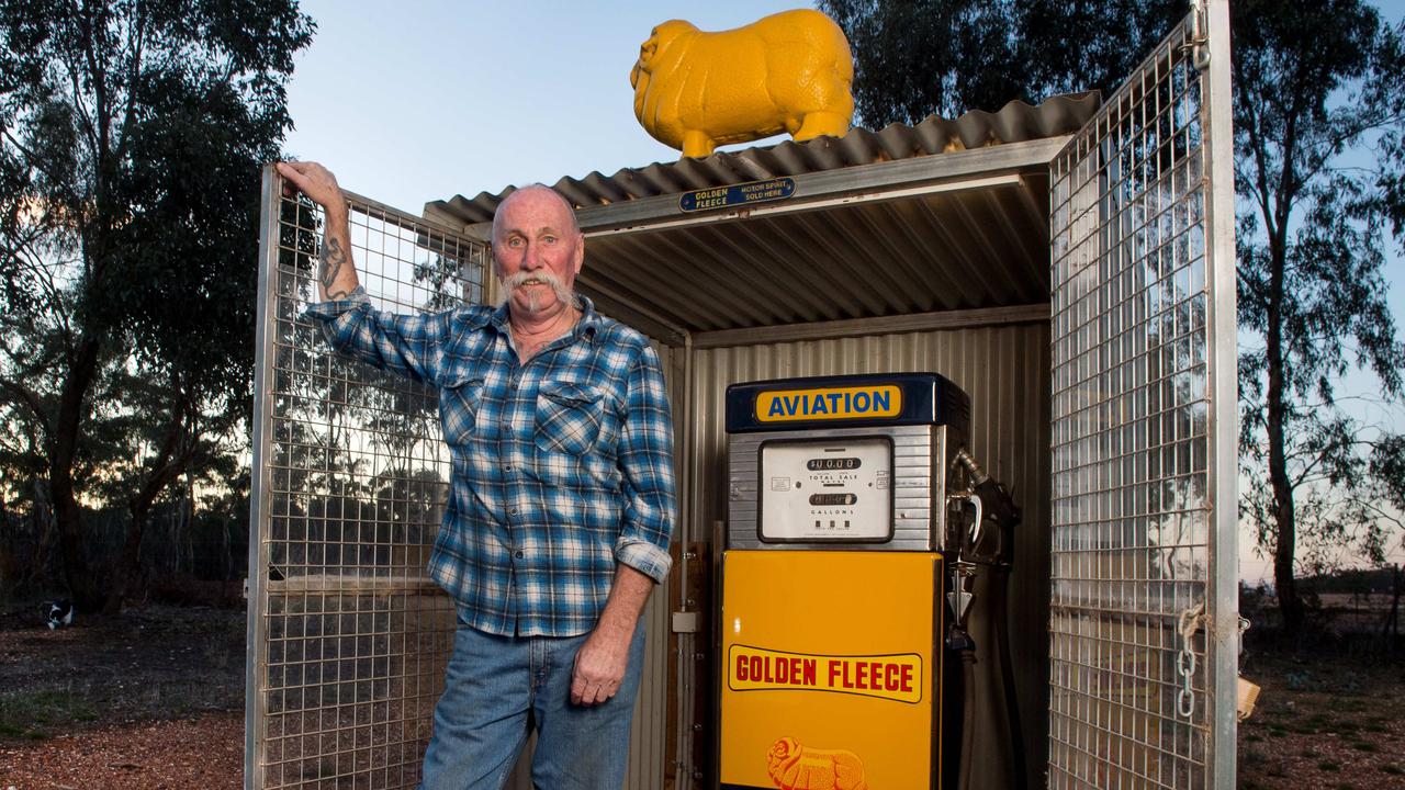 Haarvaten Inspireren Bedreven Golden Fleece Australia: Will gold merino make a comeback after Ampol? |  Herald Sun