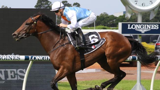 Trainer David Payne's talented mare Montefilia looks a great chance in Tuesday's Melbourne Cup. Picture: Grant Guy