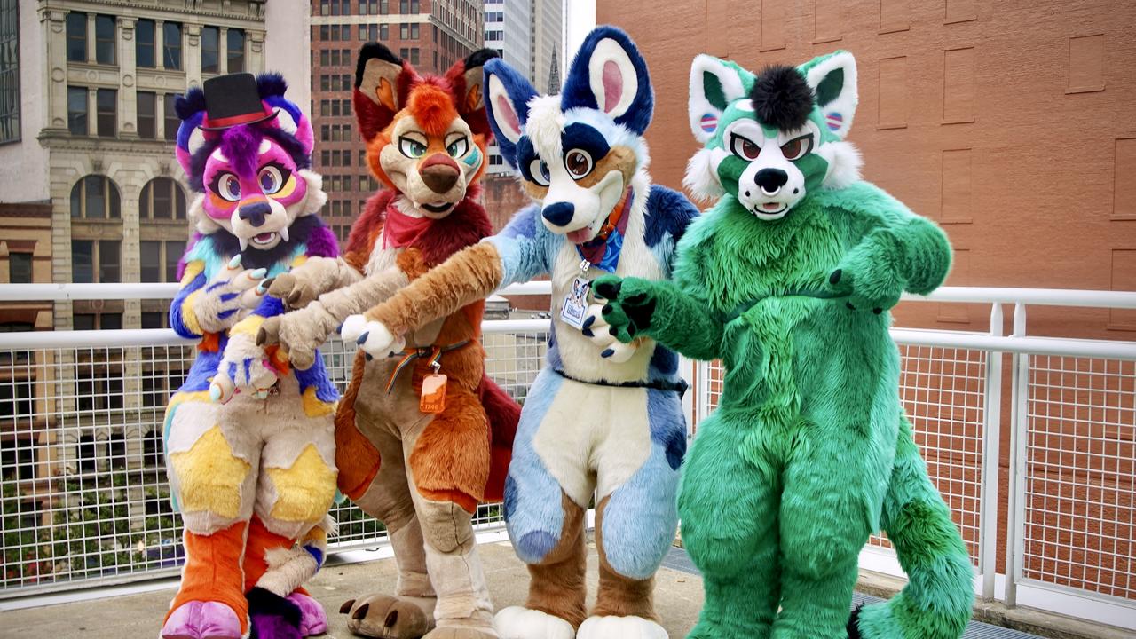 1000 furries on the Gold Coast for Furries Down Under convention | Gold ...