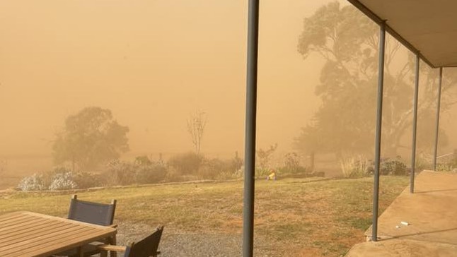 Dust in the Mid-North. Picture: Jess Quinn