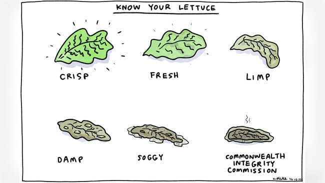 Jon Kudelka Letters Cartoon for 14-12-2018. Version: Letters Cartoon  (1280x720 - Aspect ratio preserved, Canvas added)COPYRIGHT: The Australian's artists each have different copyright agreements in place regarding re-use of their work in other publications.Please seek advice from the artists themselves or the Managing Editor of The Australian regarding re-use.