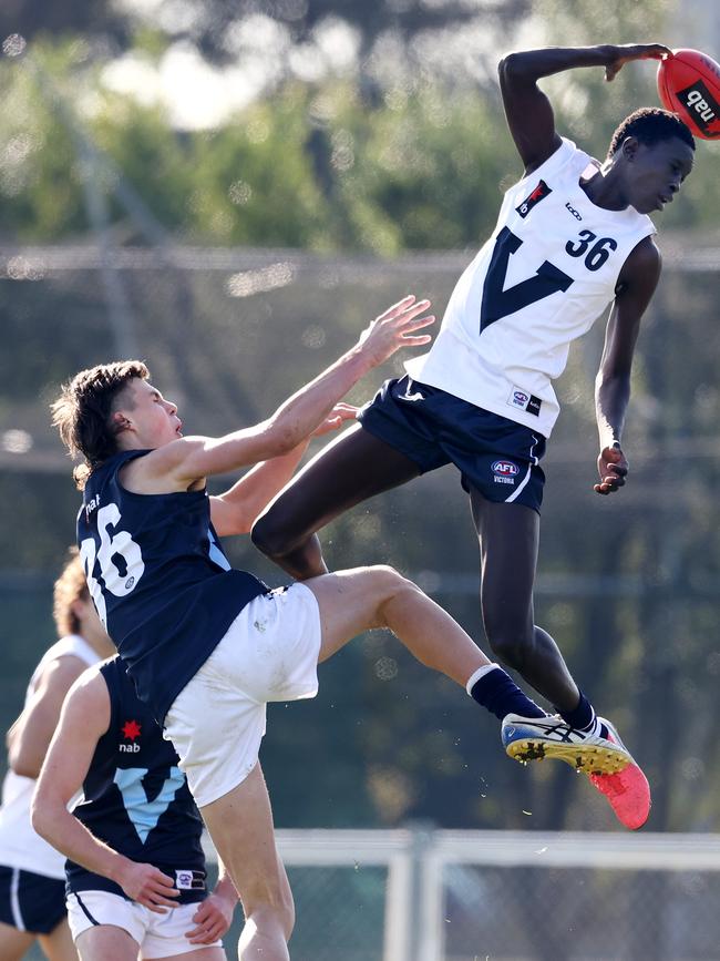 Mac Andrew shows off his vertical leap against Sam Darcy. Picture: Michael Klein