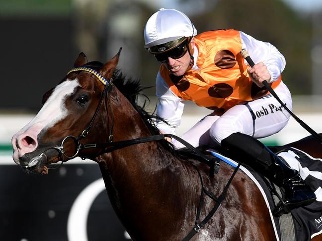 Jockey Joshua Parr Left ,riding Menari wins race 7, in The Run To The Rose race during the Run To The Rose Day at Rosehill Garden in Sydney, Saturday, Sept. 9, 2017.(AAP Image/Brendan Esposito) NO ARCHIVING