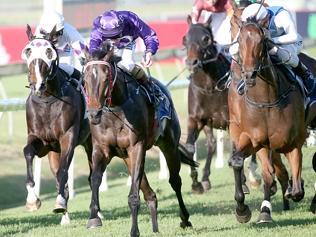 Doomben Rewind: BTC Cup Day