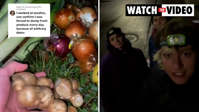 Dumpster diver shows off fresh food haul