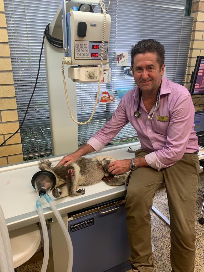 Stephen Val Mil with a koala.