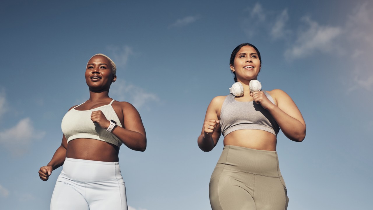 Lotus Longline Sports Bra | Brown | All Day Support | Lorna Jane USA