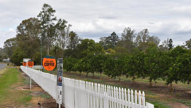 There is an opportunity for buyers to divide up some parts of the orchard land for housing. Photo: Kristen Camp