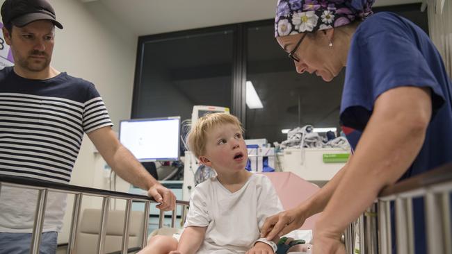 Harry listens attentively ahead of his surgery. Picture: Jason Edwards