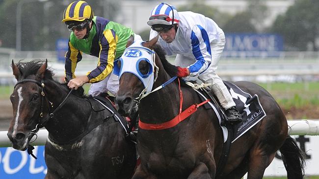 Dissident is going for a hat-trick of wins in the Rosehill Guineas Picture: Simon Bullard