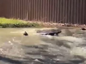 Sewer water has leaked onto a popular walking track in Modbury North, contaminating a nearby creek. Picture: Facebook (Ngarie Kelly)