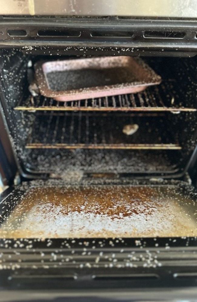 Maggots inside the oven. Picture: Supplied